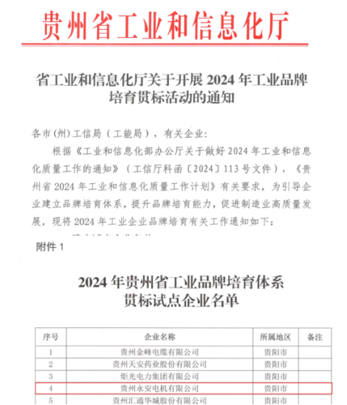 喜讯！贵州永安荣获“2024年贵州省工业品牌培育体系贯标试点企业”称号